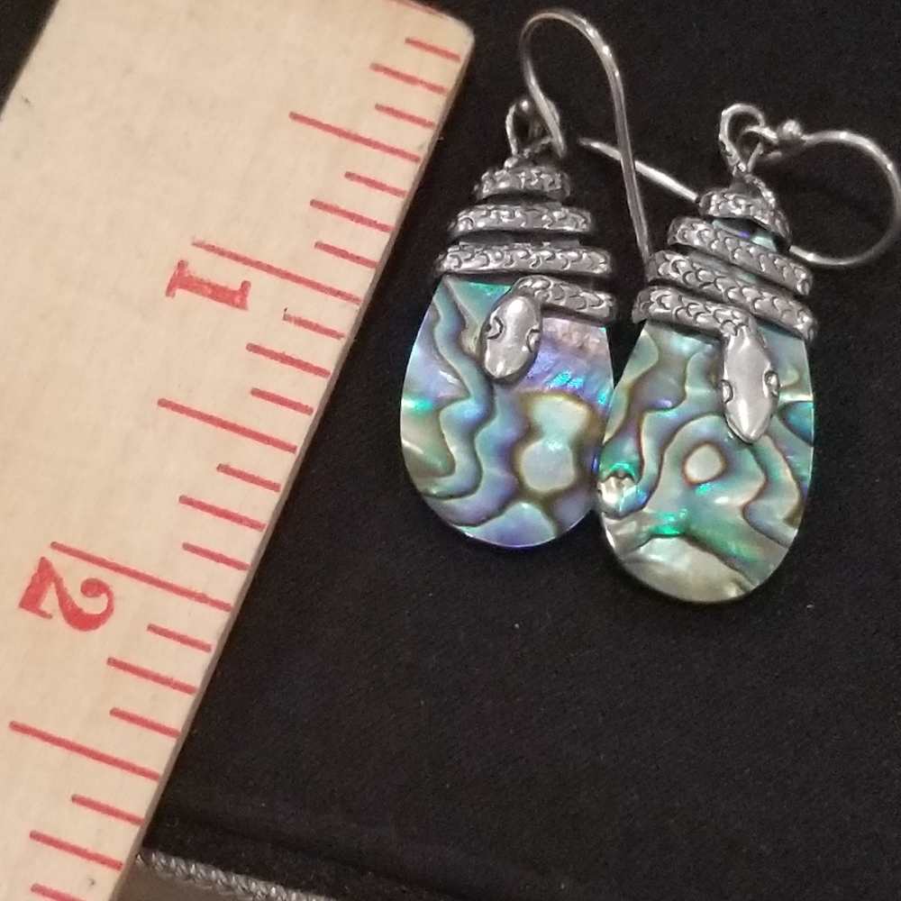 Abalone Shell Earrings - image 5